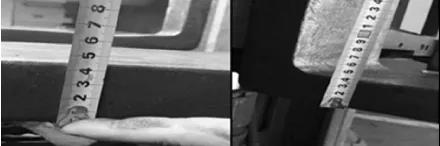 微信圖片_20211223083036 微信圖片_20211223083036